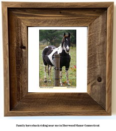 family horseback riding near me in Sherwood Manor, Connecticut